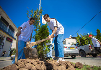 نشاط تشجير - بيت لقيا