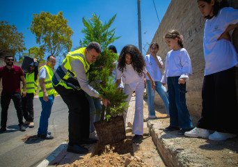 نشاط التشجير- نعلين